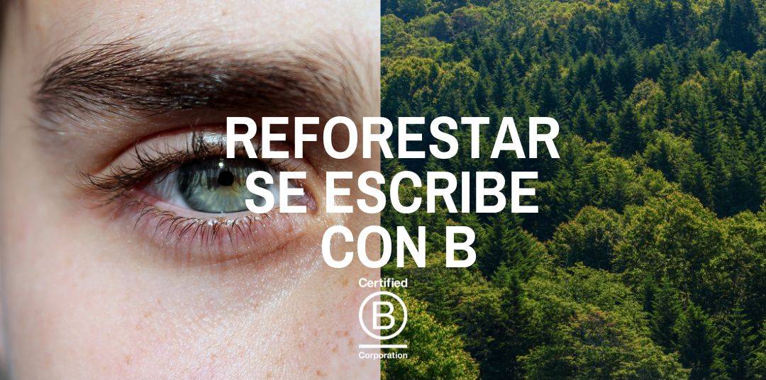 Bosque BCorp