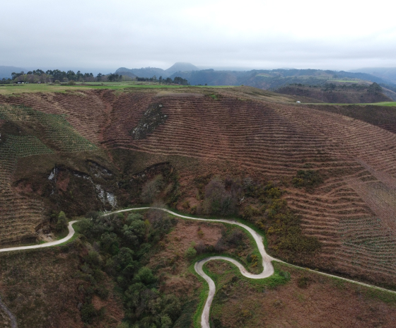 Compensar la huella de carbono